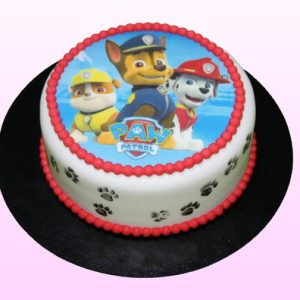 Paw patrol