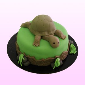 Schildpad taart model 1