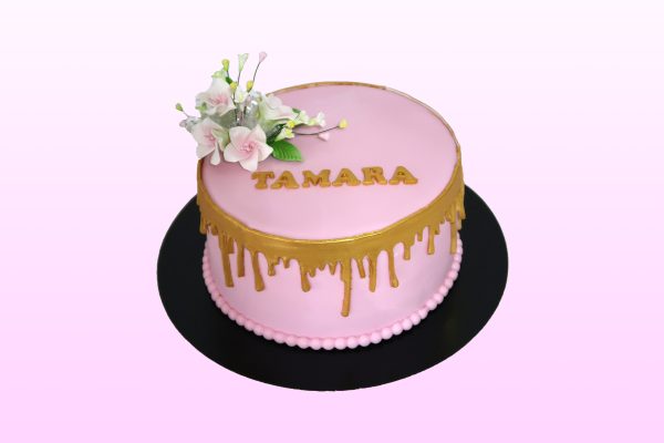 Drip model 4
