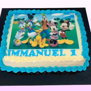 Mickey and friends model 1