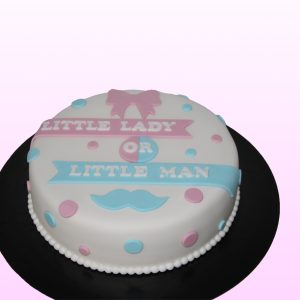 Gender reveal taart model 1
