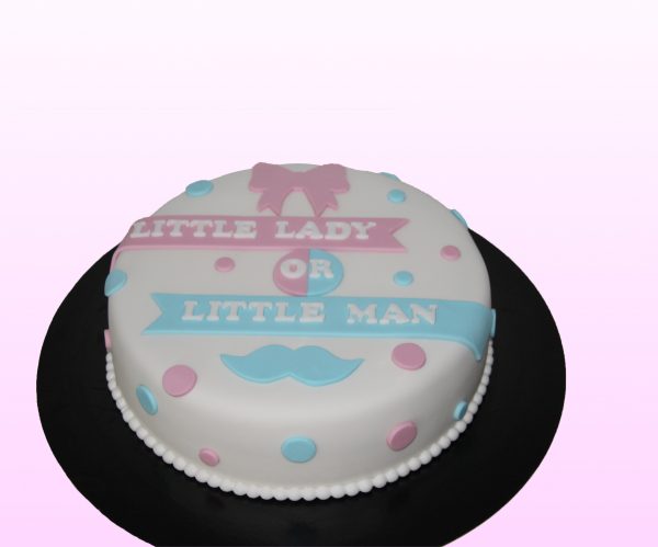 Gender reveal taart model 1