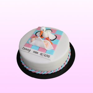 Gender reveal taart model 3