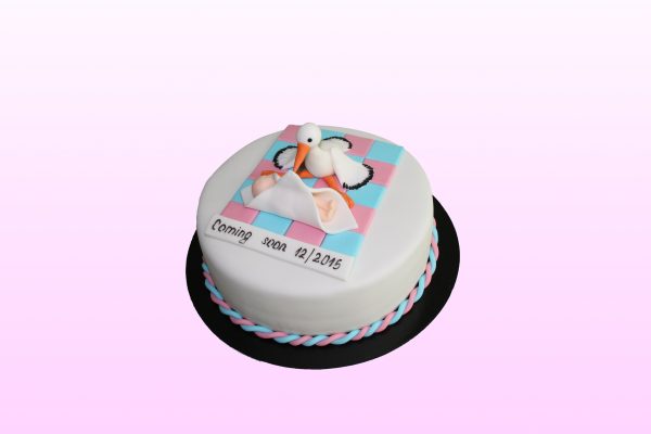 Gender reveal taart model 3